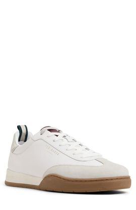 Ted Baker London Ted Baker London Kenwood Sneaker