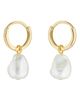 Ted Baker London Ted Baker London Periaa Imitation Pearl Drop Huggie Hoop Earrings - 3