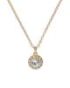 Ted Baker London Ted Baker London Soltell Solitaire Crystal Halo Pendant Necklace - 1