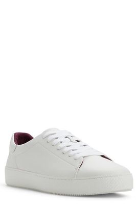 Ted Baker Ted Baker Albury Low Top Sneaker