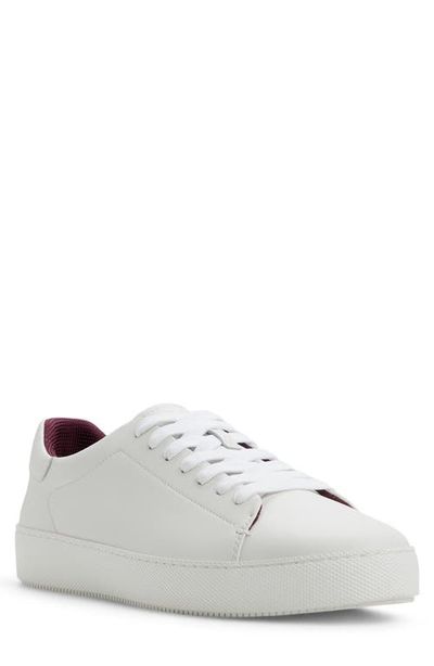 Ted Baker Ted Baker Albury Low Top Sneaker
