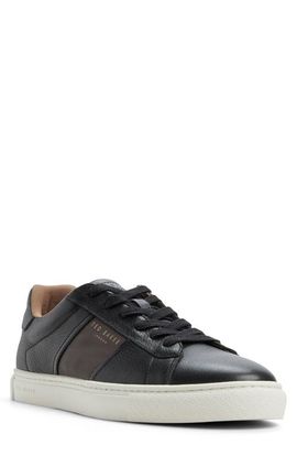Ted Baker Ted Baker Bradley Leather Sneaker