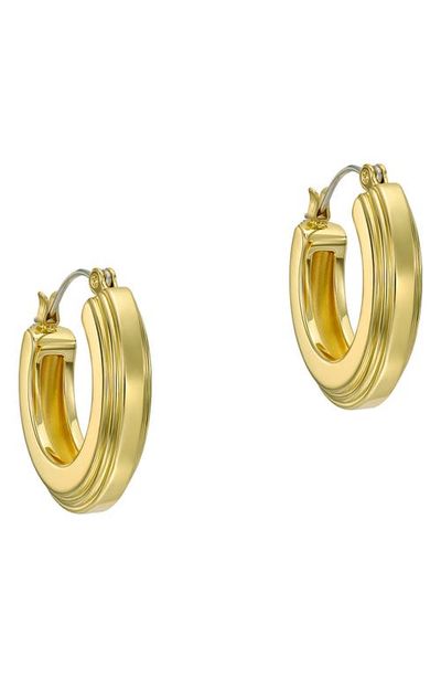 Ted Baker Ted Baker Deena Deco Groove Hoop Earrings