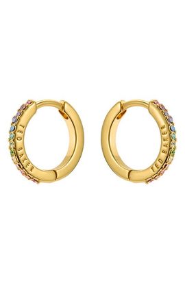 Ted Baker Ted Baker Heplie Pavé Hoop Earrings