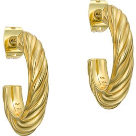 Ted Baker Ted Baker Melanie Twisted Hoop Earrings