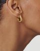 Ted Baker Ted Baker Melanie Twisted Hoop Earrings - 2