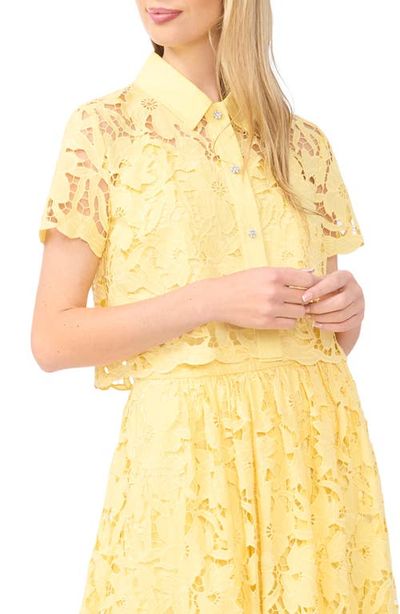 Ted Baker Ted Baker Micah Lace Embroidered Button-Up Top