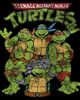 TEENAGE MUTANT NINJA TURTLES TEENAGE MUTANT NINJA TURTLES Men's Best Friend Shot Short Sleeve Graphic T-Shirt - 2