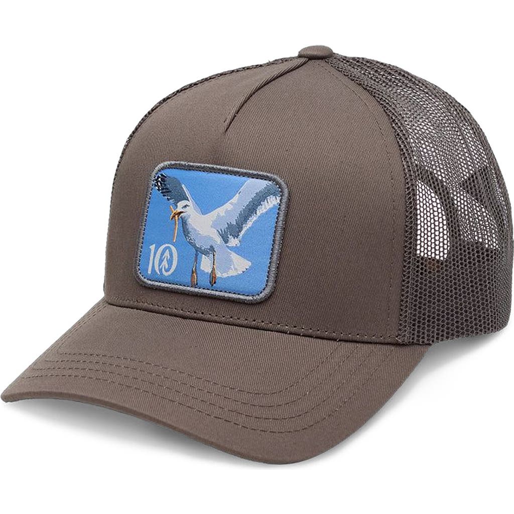 tentree tentree Lake Logo Altitude Hat