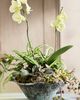 Terrain Aluminum Lotus Bowl Planter - 1