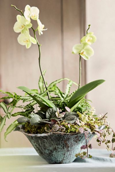 Terrain Aluminum Lotus Bowl Planter