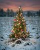 Terrain Artificial Norway Spruce Tree - 1