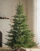 Terrain Artificial Norway Spruce Tree - 2