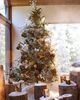 Terrain Artificial Norway Spruce Tree - 7