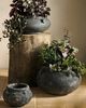 Terrain Barnacle Cauldron Planter - 1