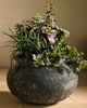 Terrain Barnacle Cauldron Planter - 2