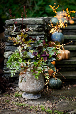 Anthropologie Barnacle Urn - Thumbnail 3