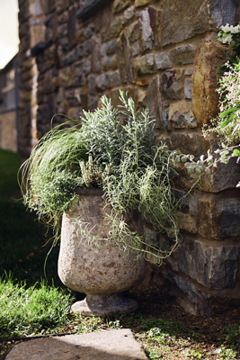 Anthropologie Barnacle Urn - Thumbnail 4