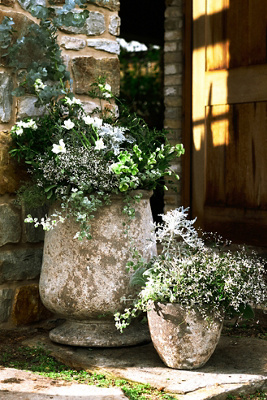 Anthropologie Barnacle Urn
