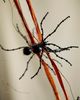 Terrain Beaded Spider Garland - 5