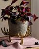 Terrain Brass Skeleton Hand Plant Stand - 4