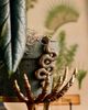 Terrain Brass Snake Pot Hanger - 4