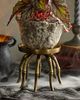 Terrain Brass Spider Plant Stand - 1