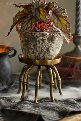 Terrain Brass Spider Plant Stand