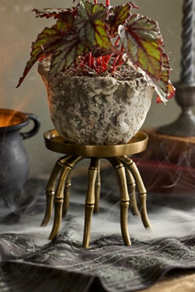 Terrain Brass Spider Plant Stand