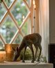 Terrain Deer Metal Taper Holder - 4