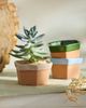 Terrain Dipped Hexagon Galestro Pot - 2