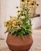 Terrain Fiber Beveled Barrel Planter, Low - 1