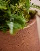 Terrain Fiber Beveled Barrel Planter, Low - 3