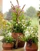 Terrain Fiber Beveled Barrel Planter, Low - 4