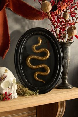 Terrain Framed Serpent Shadow Box
