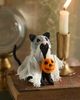 Terrain Ghost Cat Felt Critter - 1