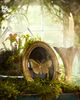 Terrain Golden Moth Shadow Box - 1