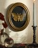 Terrain Golden Moth Shadow Box - 2