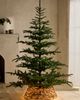 Terrain Illuminated LED Vine Tree Skirt - 3