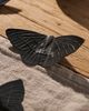 Terrain Iron Moth Eclipse, Set of 18 - 5