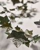 Terrain Ivy Leaves Iron Garland - 5