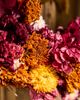 Terrain Jewel Tones Dried Wreath - 4