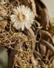 Terrain Liana Wood + Strawflower Dried Wreath - 2