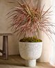 Terrain Margo Ceramic Urn - 3