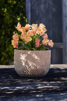 Paloma Ceramic Bowl Planter - Thumbnail 2
