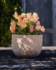 Terrain Paloma Ceramic Bowl Planter - 1
