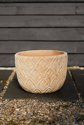 Paloma Ceramic Bowl Planter - Thumbnail 4