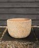 Terrain Paloma Ceramic Bowl Planter - 3