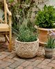 Terrain Paloma Ceramic Bowl Planter - 4