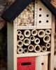 Terrain Pinewood Insect House - 2